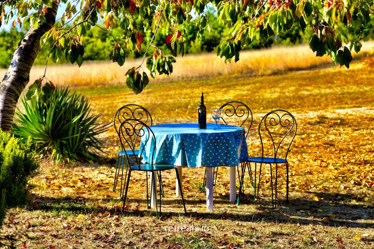 La Colle En Provence Main House Villa Sigonce Dış mekan fotoğraf